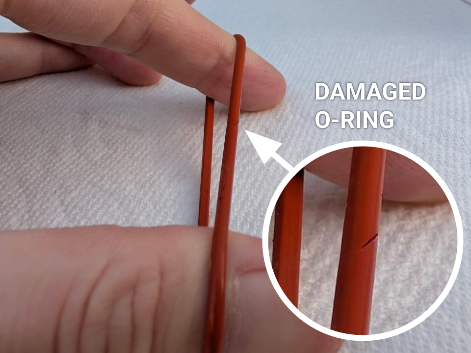 Close-up of damaged O-ring (2 of 2)