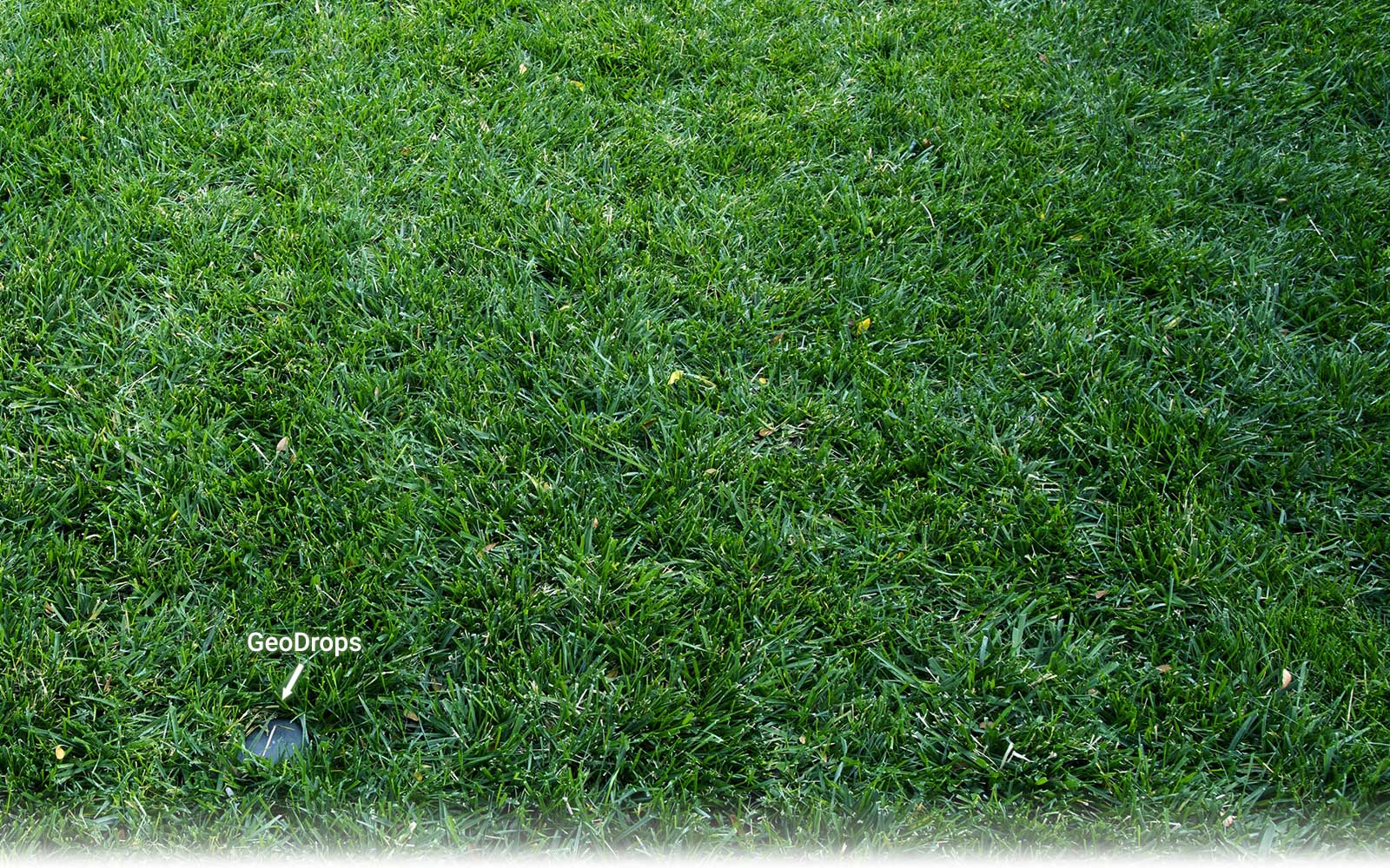 GeoDrops Droplet AI Sensor is sized like a sprinkler head, and works perfectly with any lawn.